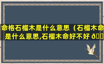 命格石榴木是什么意思（石榴木命是什么意思,石榴木命好不好 🌷 ）